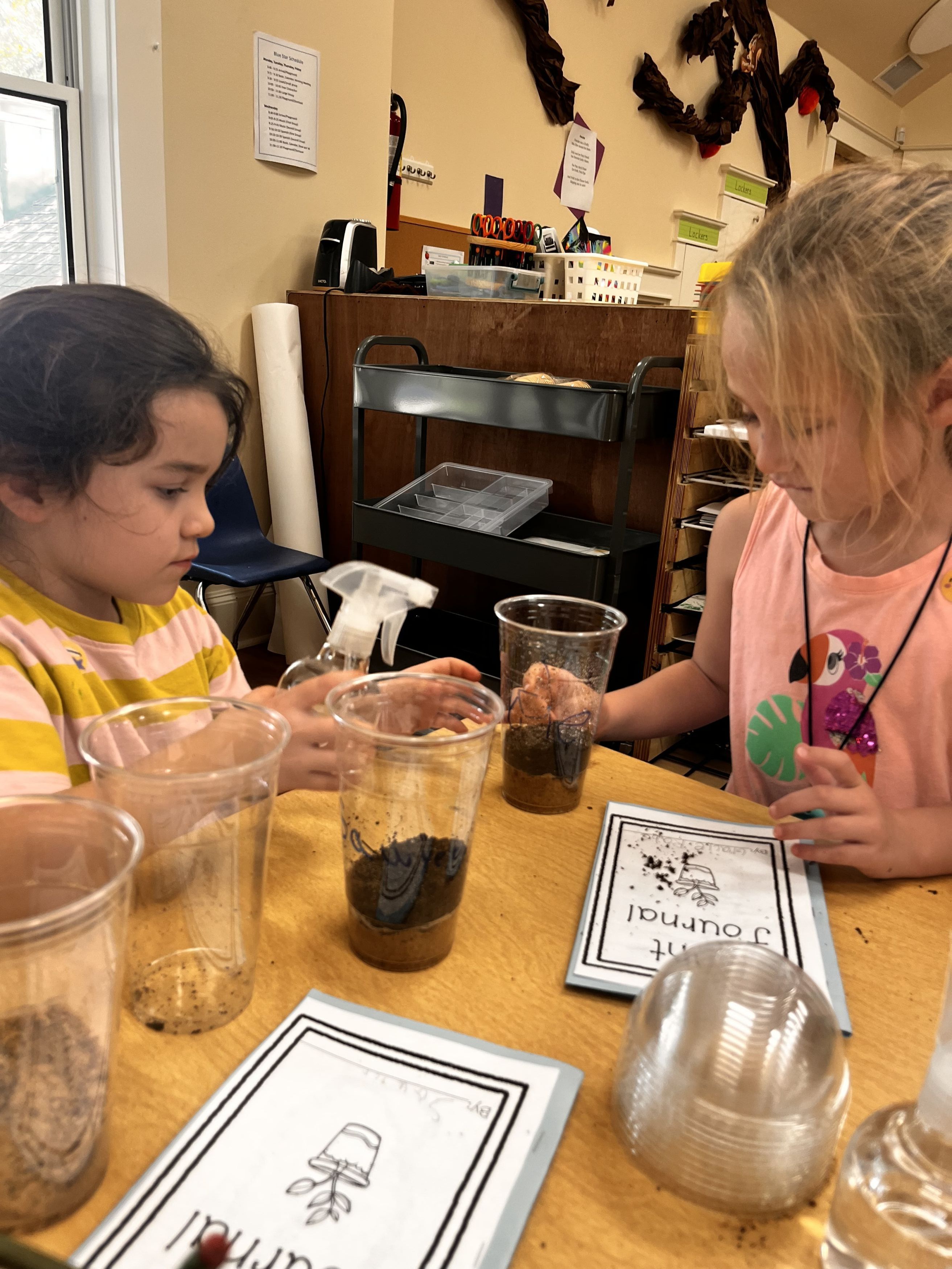 First Grade at The Acorn School